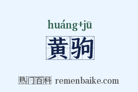 黄驹是什么意思的图片